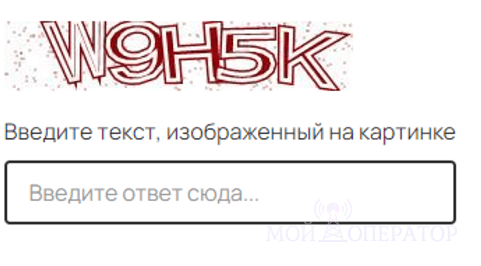 текстовая капча