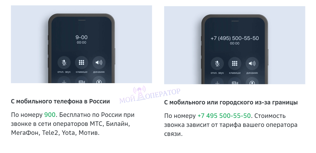 номер 900 кто звонит