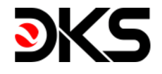 спидтест DKS