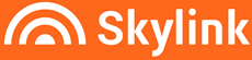 спидтест SkyLink 