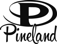 speedtest Pineland Telephone Company