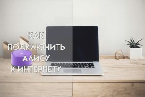 Как подключить Алису к интернету