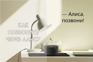 Как позвонить через Алису